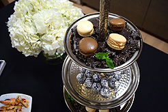 FABRICA AND MASLAND EVENT